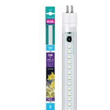 Arcadia LED-Röhre T5 Marine White 12W (742mm) Meer Tageslicht Licht Lampe