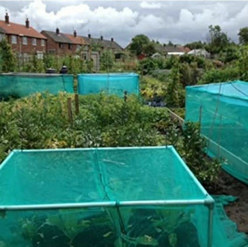 Gartennetz gerüstnetz 2mx50m - gartennetz,
