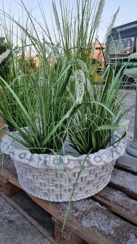 Pflanzschale blume rund - pflanzschale,