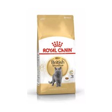 ROYAL CANIN Britisch Kurzhaar 4kg Trockenfutter für Katzen Britisch Kurzhaar