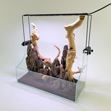 Glass Terrarium Paludarium