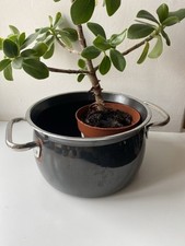 Deko Topf Rost Garten Pflanz Übertopf Shabby Silargan Emaillie Vintage Sukkulent