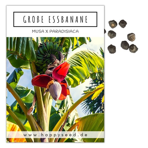 Große essbanane samen musa x - (musa,