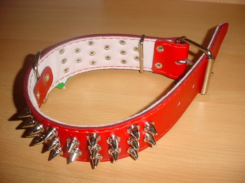 Hundehalsband mit