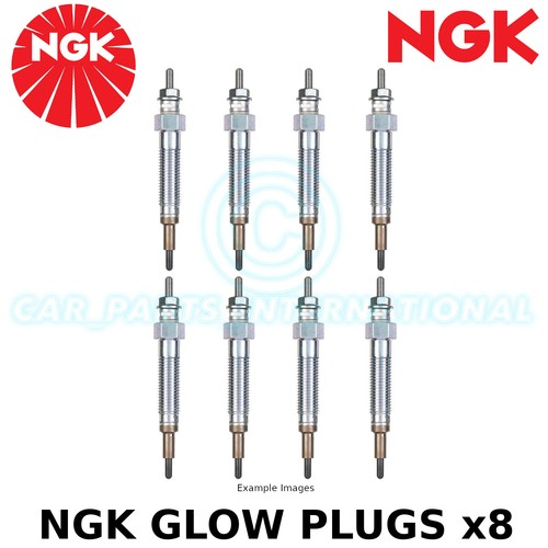 Ngk glühkerze diesel - ngk,