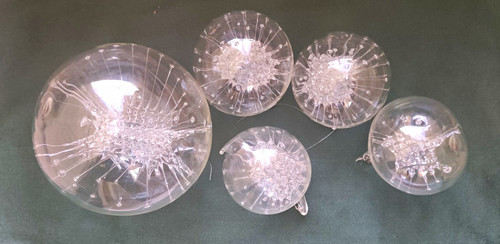 Transparente runde - 5x,