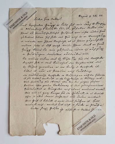 1823 nagold palm altnau - 1823,