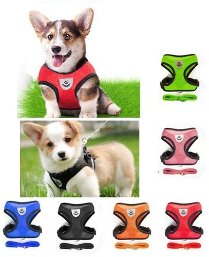 Atmungsaktives hundegeschirr - atmungsaktives,