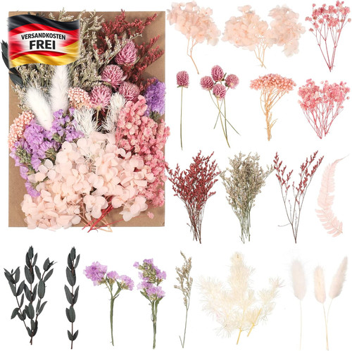 Natürliche getrocknete blumen - getrocknete,