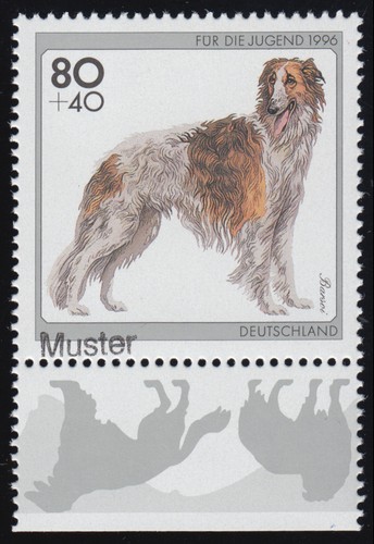 1836 jugend hunderassen - 1836,