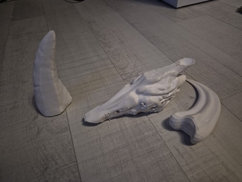 Fossilien/Mineraliensammlung