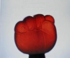 New, Unseen, Modic, Marko, Book