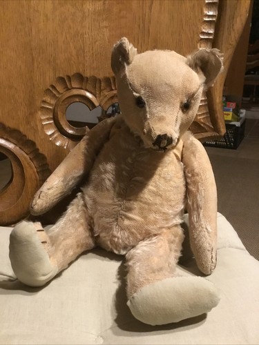 Alter teddybär - alter,