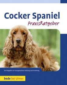 Cocker spaniel von wessem - spaniel,