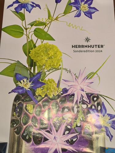 Herrnhuter stern poster - poster, a1
