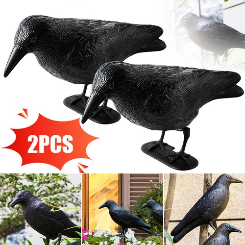 Taubenabwehr vogelabwehr - taubenabwehr,