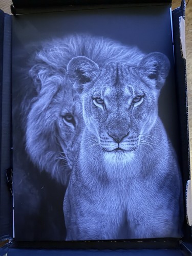 Displate stück neu - stück, neu!