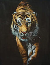 Tiger Indien Safari, Indische