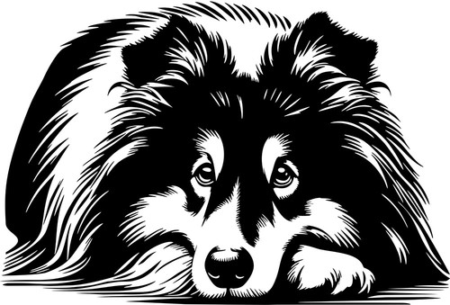 Sheltie aufkleber - -,