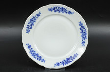 Tirschenreuth blaue Rosenranke