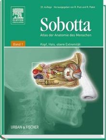 Atlas der anatomie des - atlas,