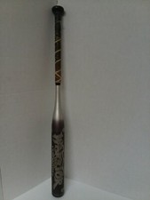 Warrior Lisa Fernandez Model