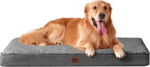 Orthopädisches hundebett - orthopädisches,