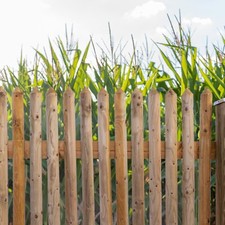 Zaunlatten Fichte halbrund 27x60x1000mm Typ C Zaunbrett Stakete Latten 10 Stk. 