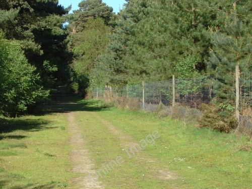 Photo 6x4 swinley forest - photo,