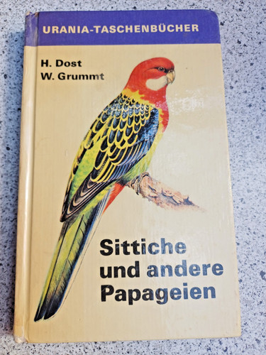Sittiche andere - sittiche,