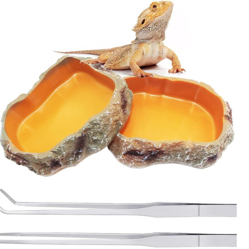 Reptilien terrarium zubehör - reptilien, 2