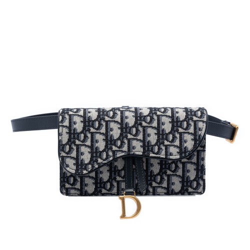 Dior oblique canvas - dior,