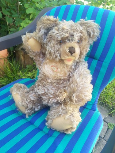 Steiff alter charmanter - , zotty