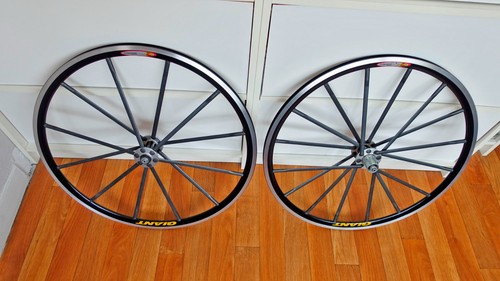 Giant mcr tcr - mcr, /