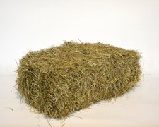 16 kg 1. Schnitt frisches Wiesenheu | Heuballen & Futter für Kaninchen + Hamster