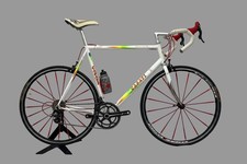 👉 Casati Genius 98 60cm