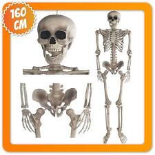 Grusel Pur: 160cm Halloween