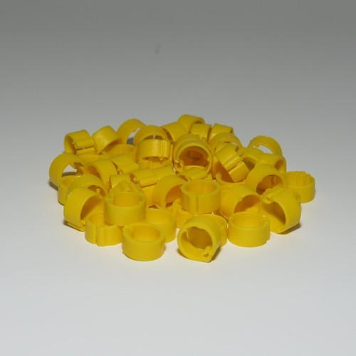 Clipsringe tauben - 50,