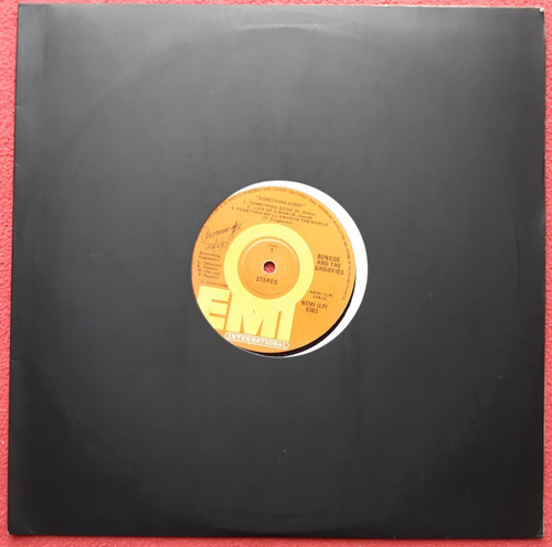 Bongos and the - bongos, groovies
