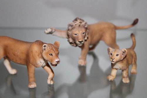 Schleich löwen familie - schleich,