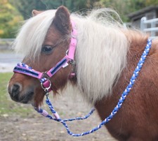Strass SHETTY Trense REITHALFTER ZÜGEL  Shetland Pony Sidepull gebisslos