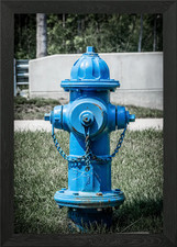 Blauer Zenturion gerahmtes