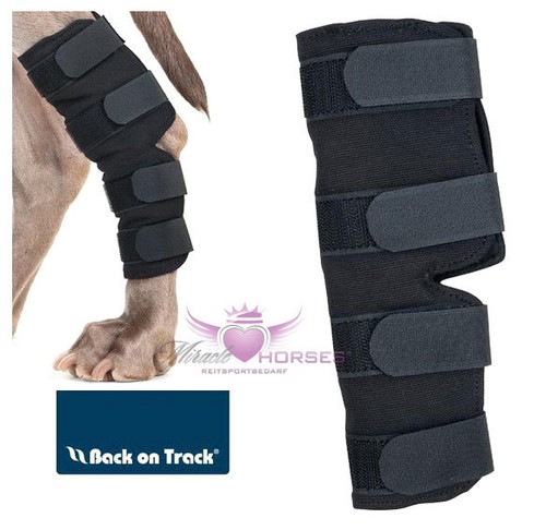 Back track - on,