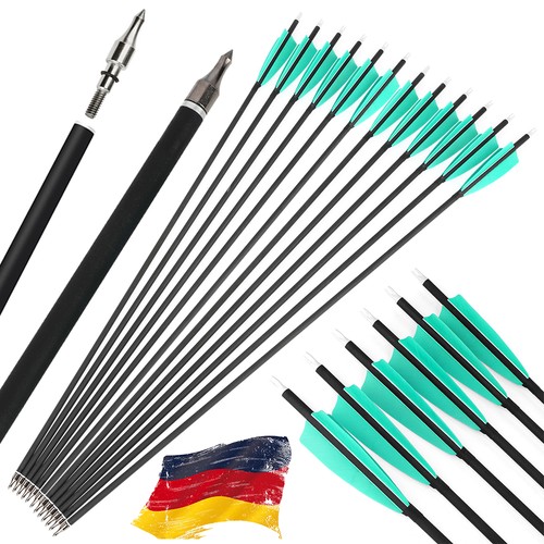 12x carbonpfeile sp500 - carbonpfeile,