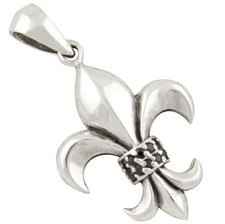 Schöner Fleur de Lis