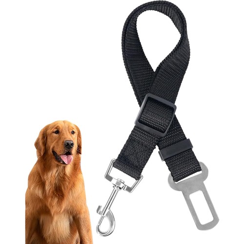Hund sicherheit gurt - hund,