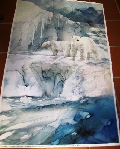 Eisbär nordpol tundra - eisbär,