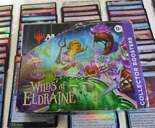 Magic the Gathering Wilds of Eldraine Collector Booster Display Englisch ✅