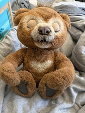 mein Knuddelbär aus der