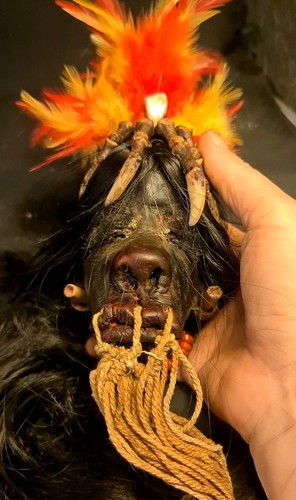 Shrunken head schrumpfkopf - shrunken,